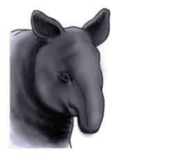 I am a tapir sticker #7295312