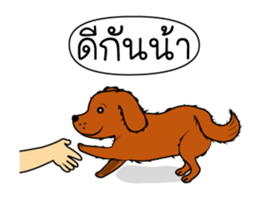 Nong C and Cocoa sticker #7297561