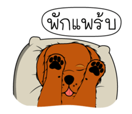 Nong C and Cocoa sticker #7297564