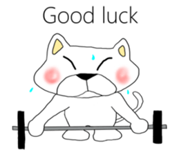 "Nyan ta ful" English version sticker #7298224