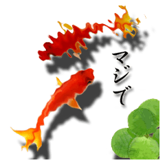 The goldfish which lives in phone!