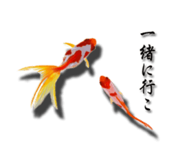 The goldfish which lives in phone! sticker #7298890