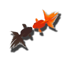 The goldfish which lives in phone! sticker #7298891