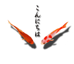 The goldfish which lives in phone! sticker #7298893