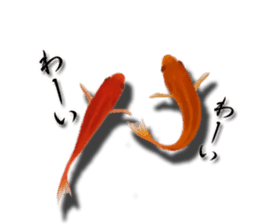 The goldfish which lives in phone! sticker #7298895