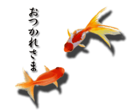 The goldfish which lives in phone! sticker #7298900