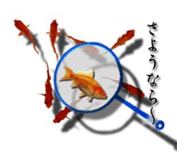 The goldfish which lives in phone! sticker #7298908