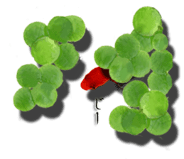 The goldfish which lives in phone! sticker #7298916