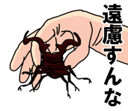 Stag beetle on a nose sticker #7299042