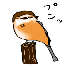 Wild bird Sticker sticker #7302654