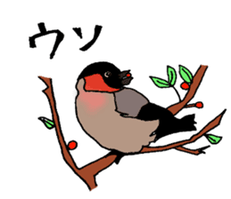 Wild bird Sticker sticker #7302674