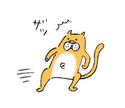 pig cat&me sticker #7304577