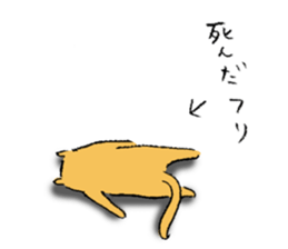 pig cat&me sticker #7304587