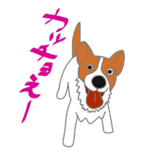 active dog, Jack Russell Terrier sticker #7305008