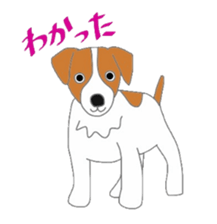 active dog, Jack Russell Terrier sticker #7305015