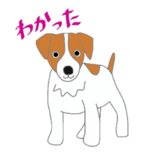 active dog, Jack Russell Terrier sticker #7305015
