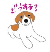 active dog, Jack Russell Terrier sticker #7305020
