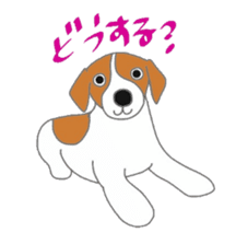 active dog, Jack Russell Terrier sticker #7305020