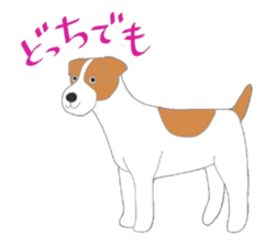 active dog, Jack Russell Terrier sticker #7305021