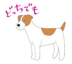 active dog, Jack Russell Terrier sticker #7305021