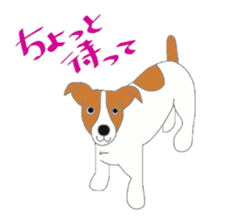 active dog, Jack Russell Terrier sticker #7305025