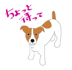 active dog, Jack Russell Terrier sticker #7305025