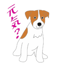 active dog, Jack Russell Terrier sticker #7305030