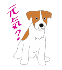 active dog, Jack Russell Terrier sticker #7305030