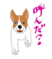 active dog, Jack Russell Terrier sticker #7305031