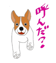 active dog, Jack Russell Terrier sticker #7305031