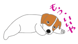 active dog, Jack Russell Terrier sticker #7305042