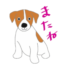 active dog, Jack Russell Terrier sticker #7305047
