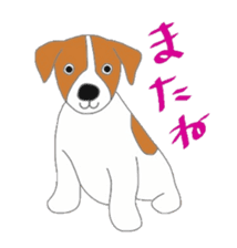 active dog, Jack Russell Terrier sticker #7305047