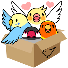 Lively birds "tweet-tweet"