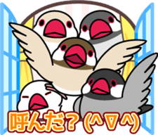 Lively birds "tweet-tweet" sticker #7305374