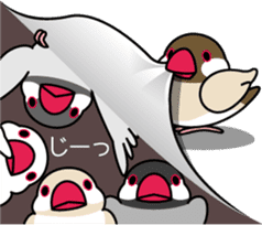 Lively birds "tweet-tweet" sticker #7305378