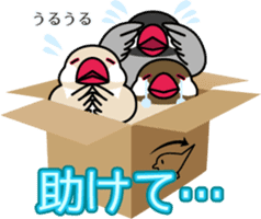 Lively birds "tweet-tweet" sticker #7305390