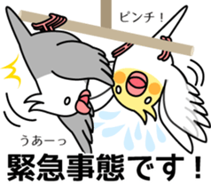 Lively birds "tweet-tweet" sticker #7305392