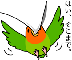 Lively birds "tweet-tweet" sticker #7305403