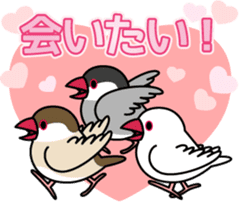 Lively birds "tweet-tweet" sticker #7305406