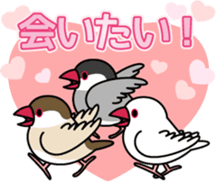 Lively birds "tweet-tweet" sticker #7305406