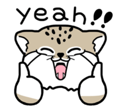 mofmof Manul sticker #7305638