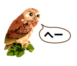 40 Owls_vol.1 sticker #7306088