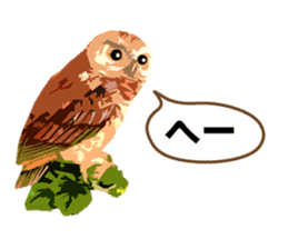 40 Owls_vol.1 sticker #7306088