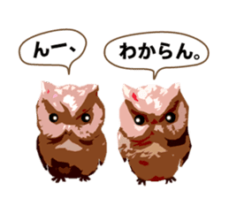 40 Owls_vol.1 sticker #7306092