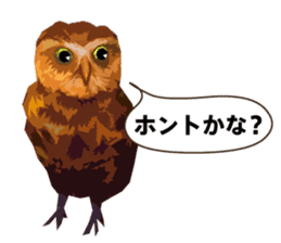 40 Owls_vol.1 sticker #7306093
