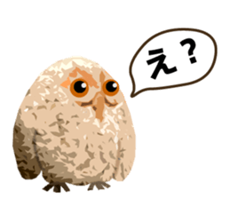 40 Owls_vol.1 sticker #7306096