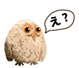40 Owls_vol.1 sticker #7306096