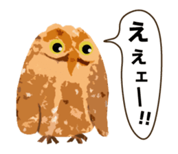 40 Owls_vol.1 sticker #7306097