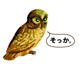 40 Owls_vol.1 sticker #7306103